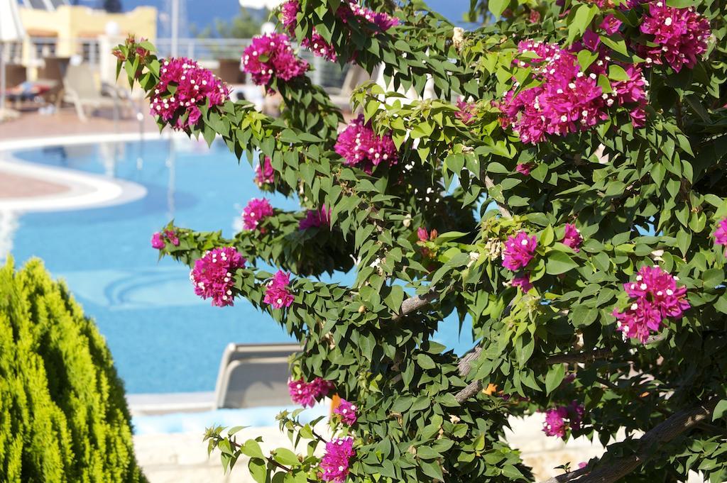 Pilot'S Villas Luxury Suites Hersonissos  Exterior foto
